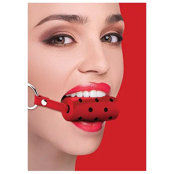 CYLINDER GAG - RED