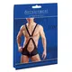 WRESTLER BODY